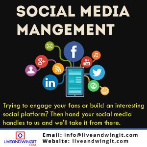 SOCIAL MEDIA MANAGER IN NIGERIA